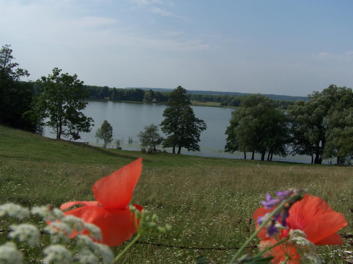 Domek Na Skraju Wsi Dostep Do Jeziora Ublik Vila Konopki Wielkie Exterior foto